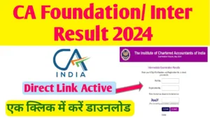 CA Foundation Result 2024